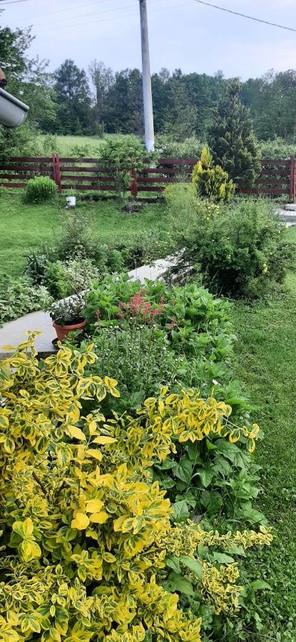 Apartmani Beslic Kremna Dış mekan fotoğraf